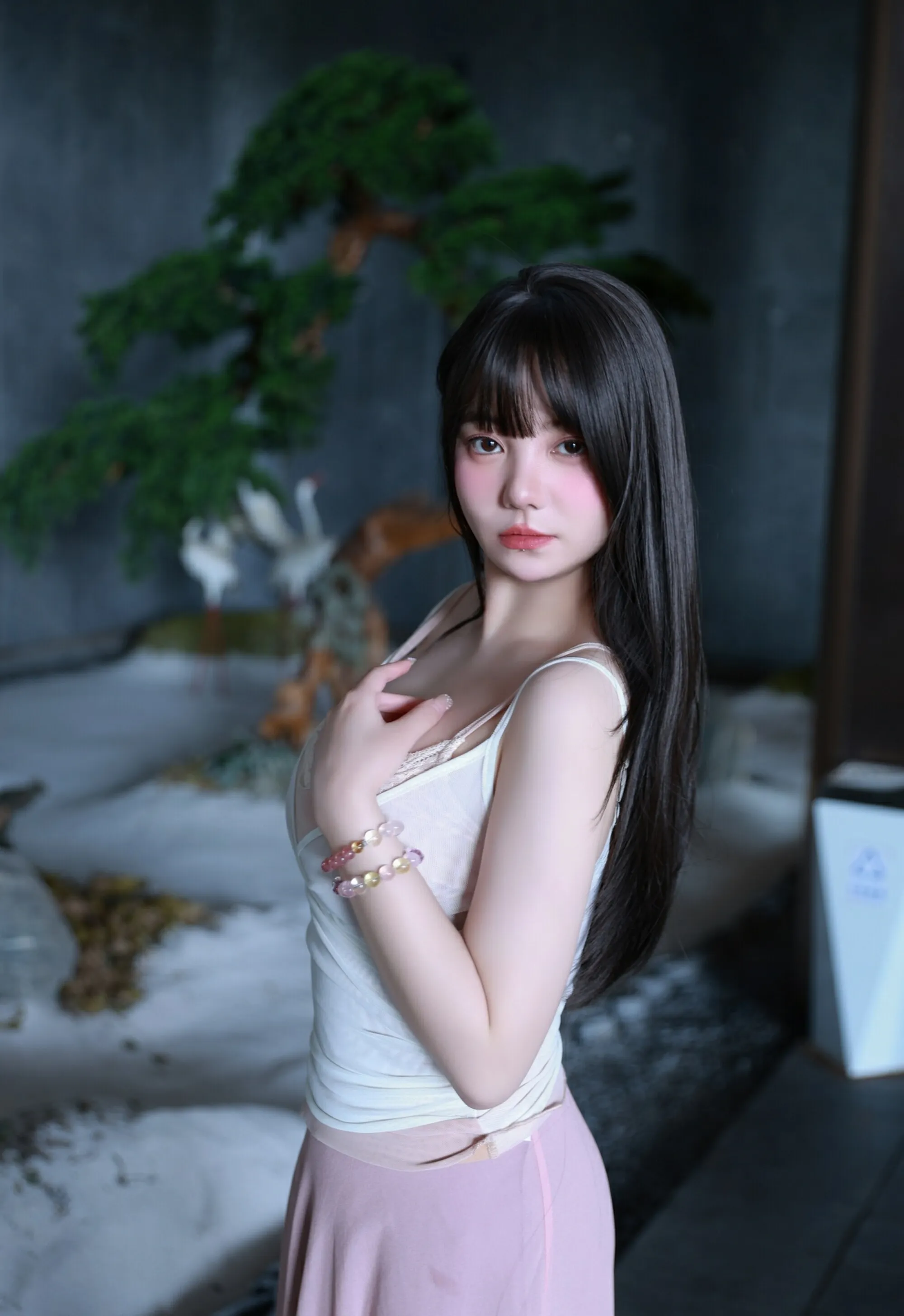 [XiuRen秀人网] No.10746 软情 粉色内衣 紫色长裙 性感写真 [86张]