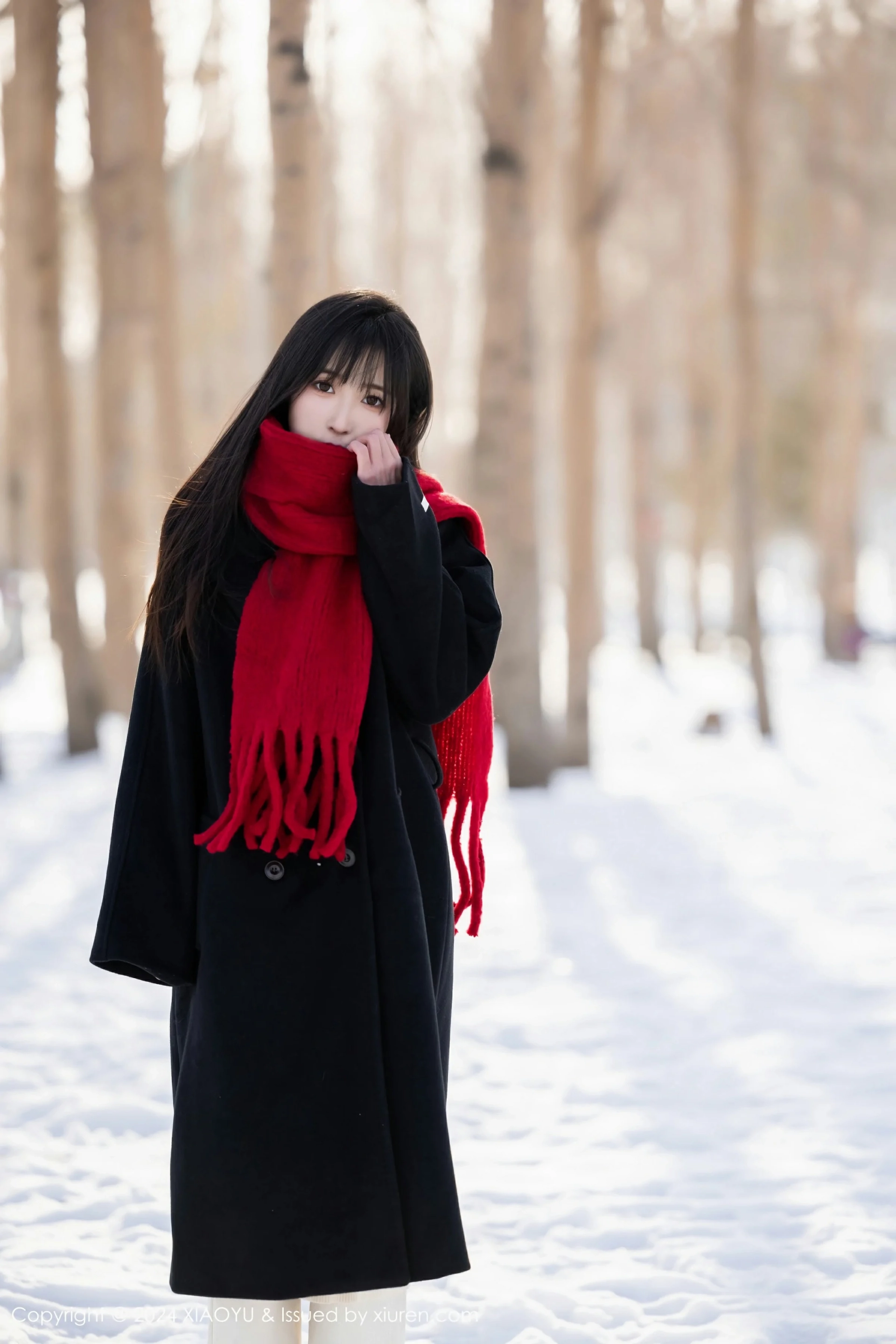 [XIAOYU语画界] VOL.1215 林星阑 性感黑色轻透内衣 哈尔滨旅拍写真 [93张]插图